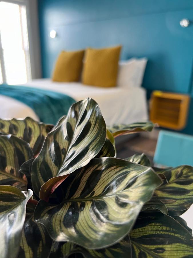 Hermanus Waterfront Apartment No 17 المظهر الخارجي الصورة
